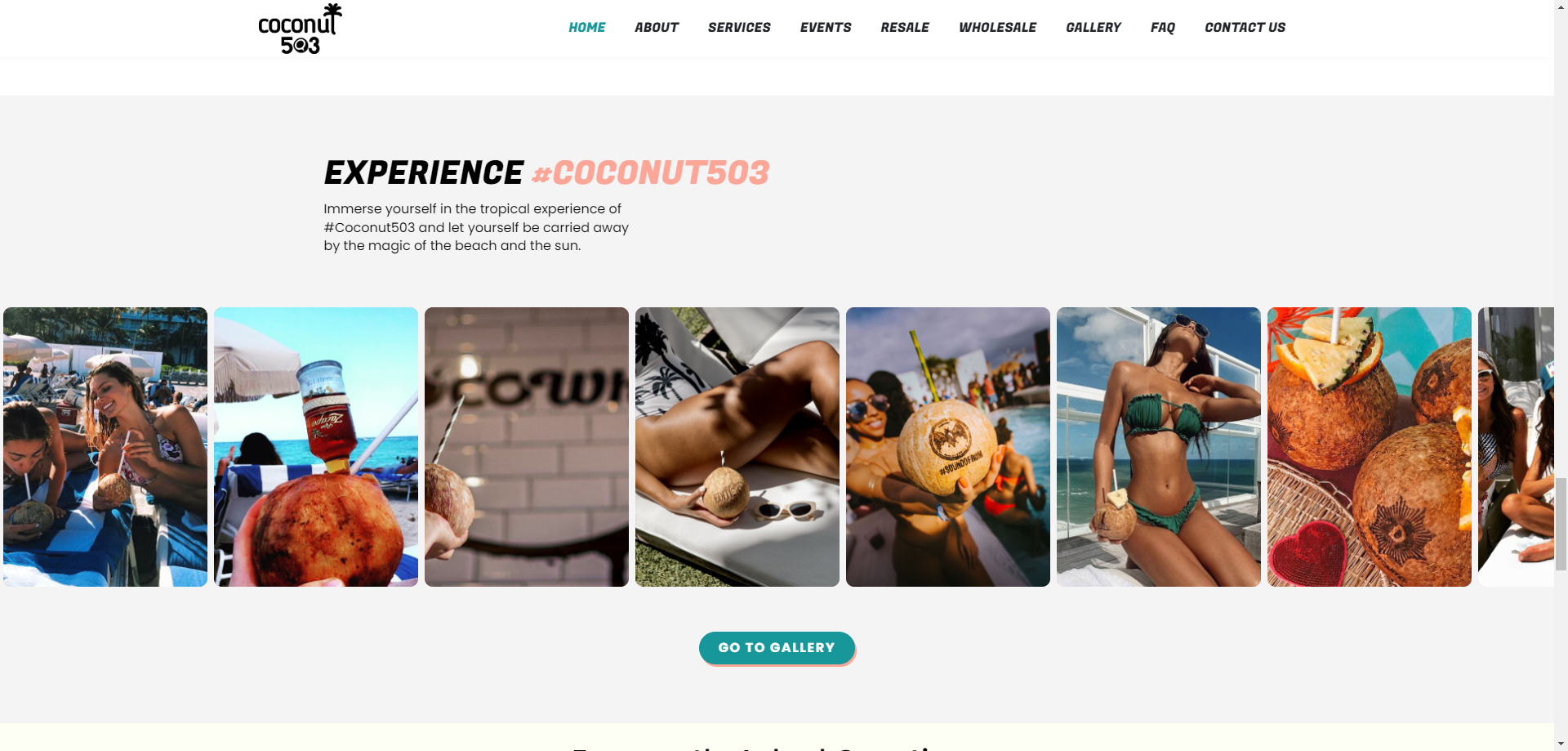 Coconut 503, imagen 2