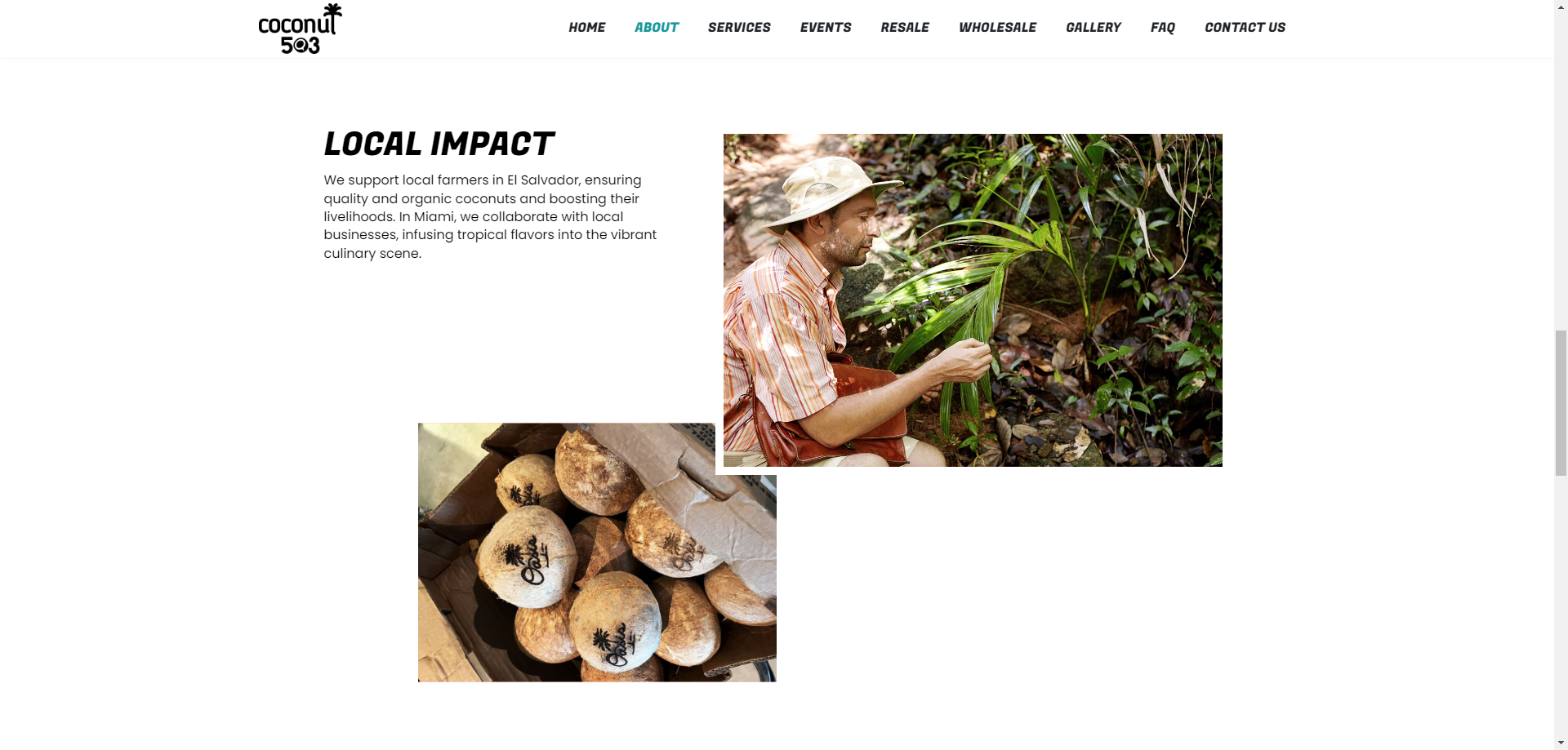Coconut 503, imagen 4