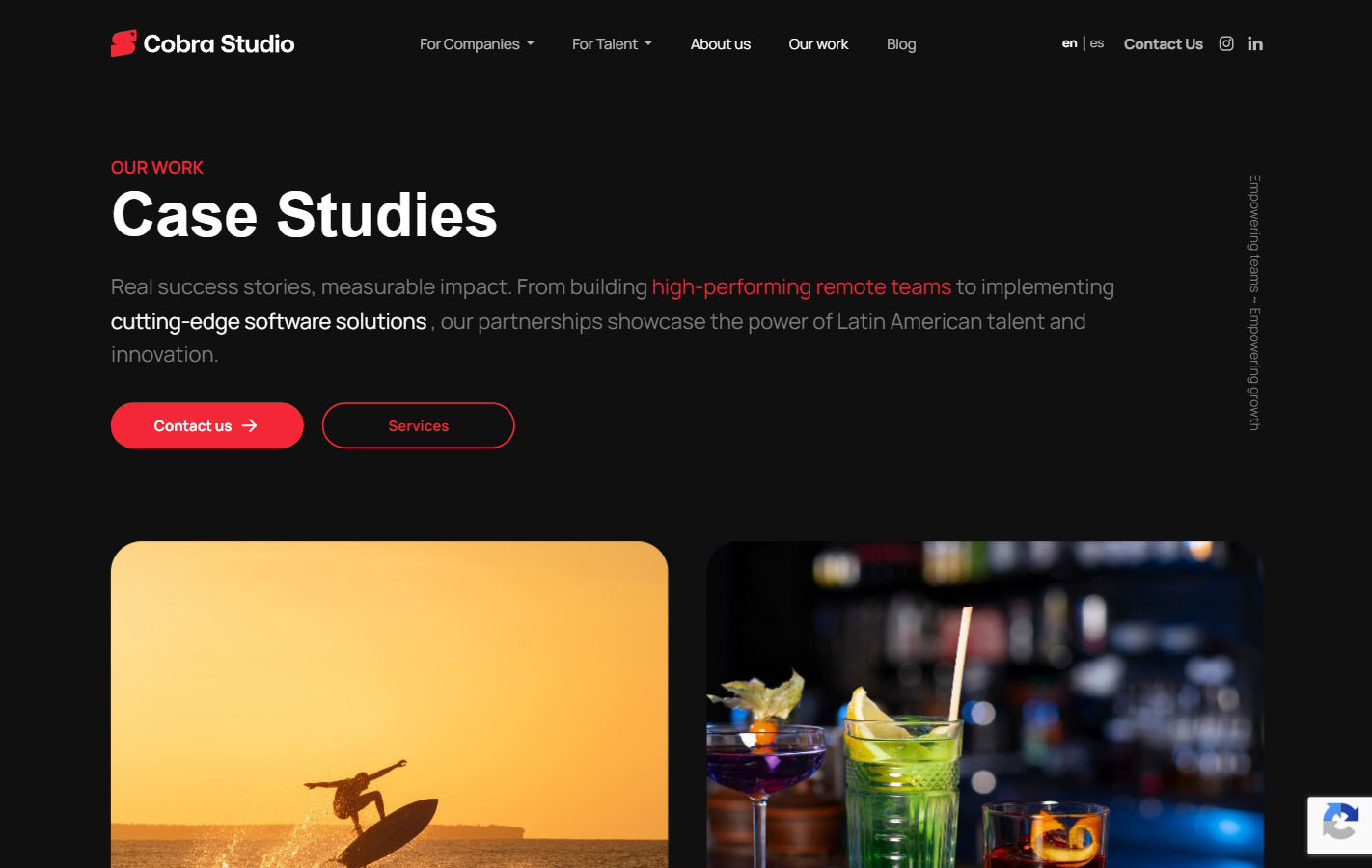 Cobra Studio, imagen 6