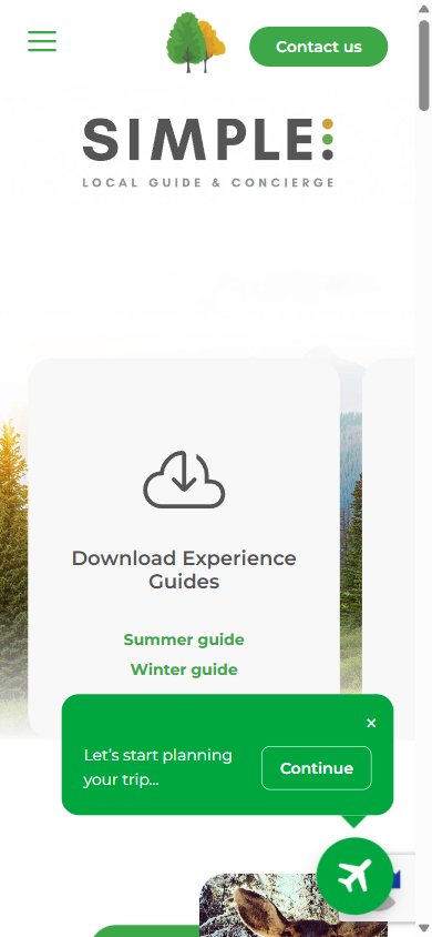 Simple Travel: la página de inicio en un teléfono