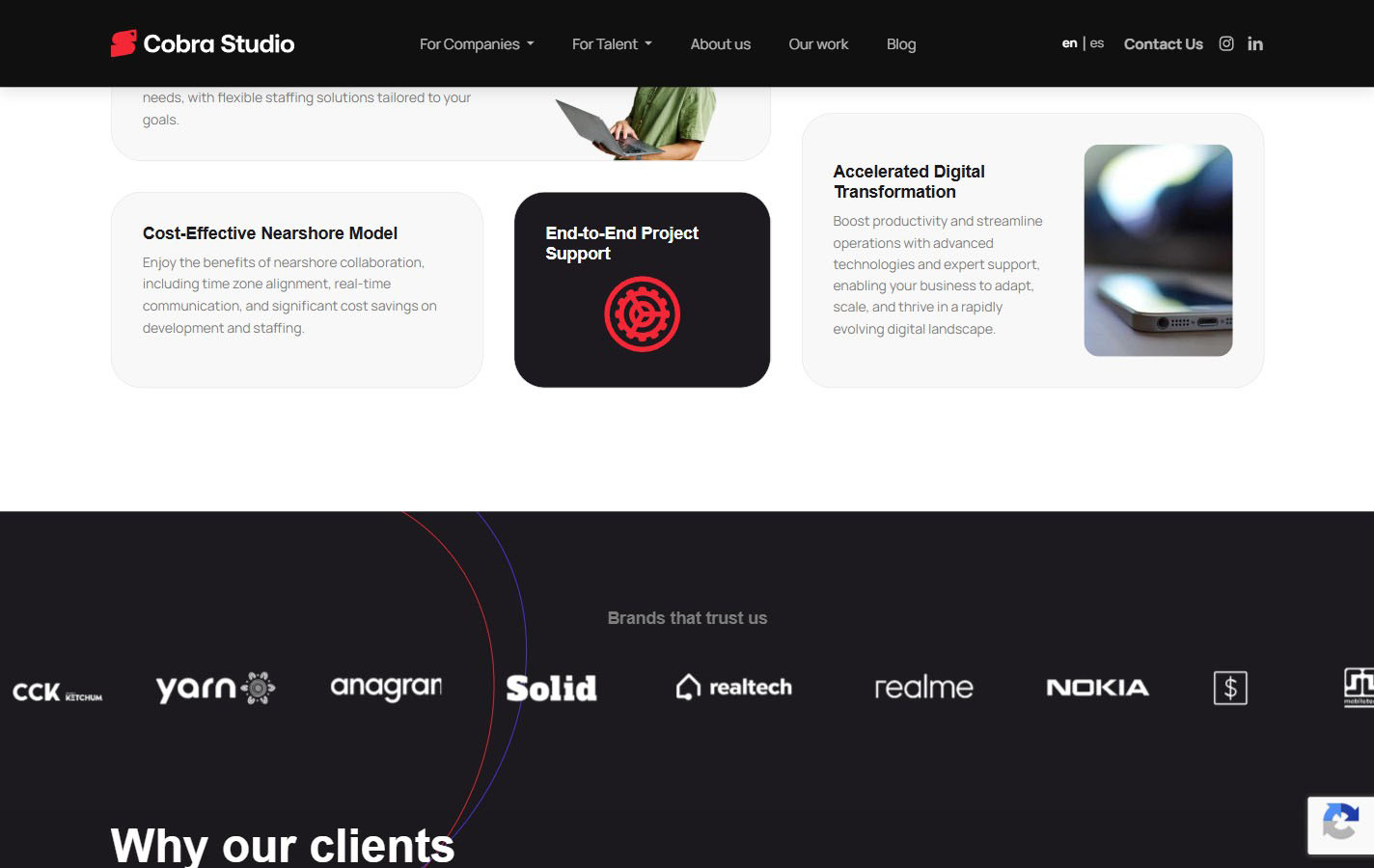 Cobra Studio, imagen 3