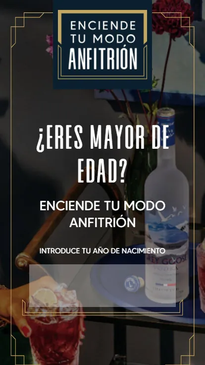 Mix Perfecto: una pantalla de verificación de edad frente a una botella de vodka