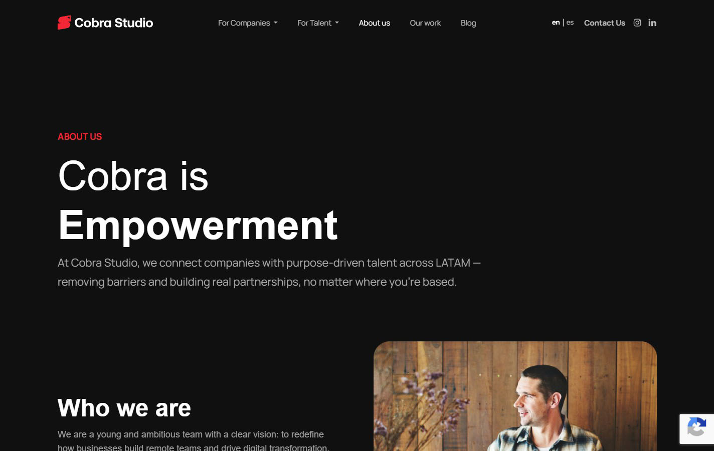 Cobra Studio, imagen 4