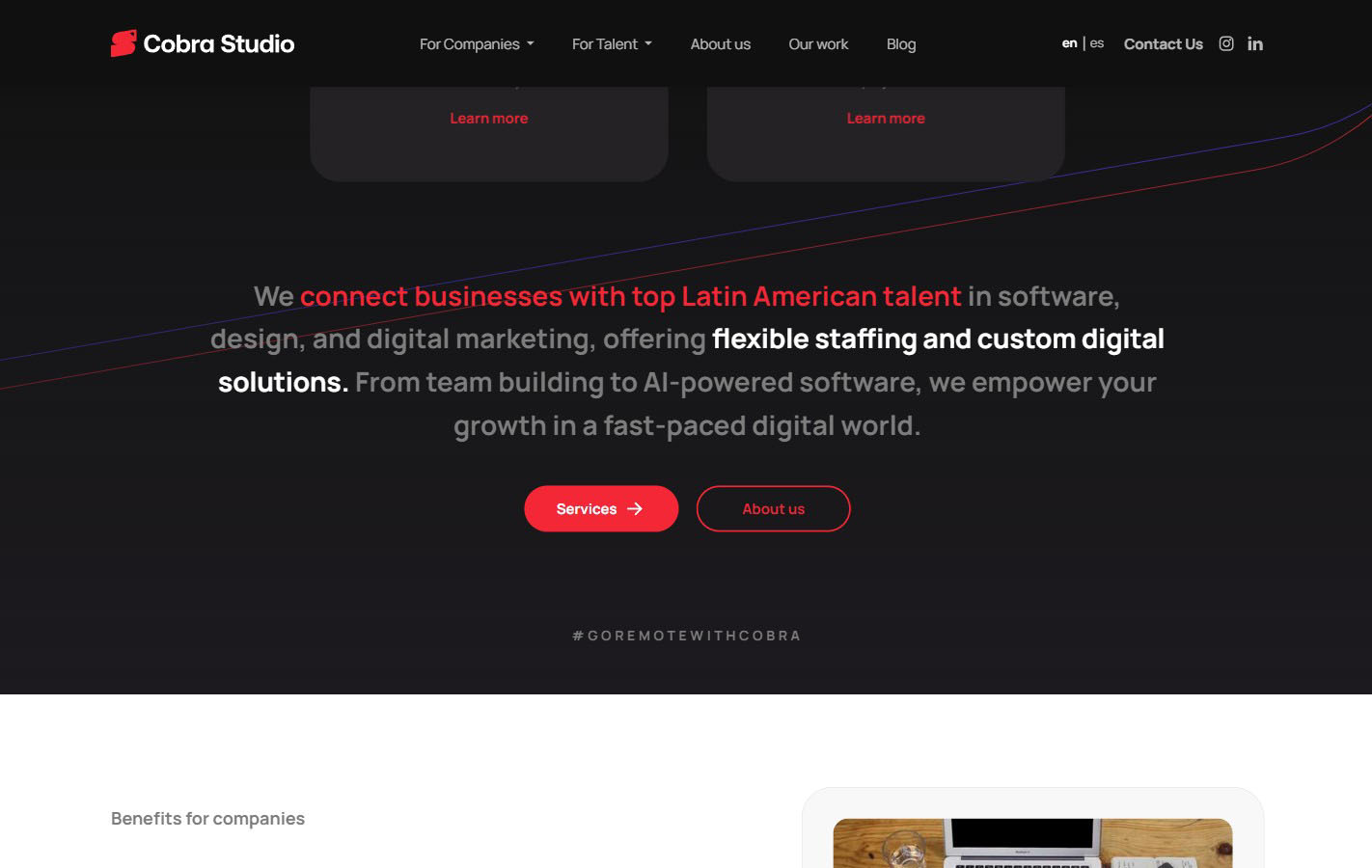 Cobra Studio, imagen 2